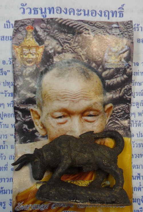 วัวธนูทองคะทองฤทธิ์ เนื้อสัมฤทธิ์เทดินไท ปี ๕๑ หลวงปู่กาหลง เขี้ยวแก้ว หมายเลข 1949