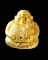 เนื้อทองทิพย์ลูกอมพระสังกัจจายน์โภคทรัพย์ 