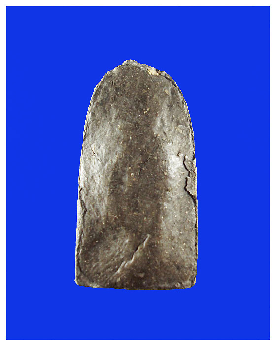 พระเนื้อว่านหลวงปู่ทวด/หลวงปู่หมุนวัดบ้านจานปี2542องค์ที่1