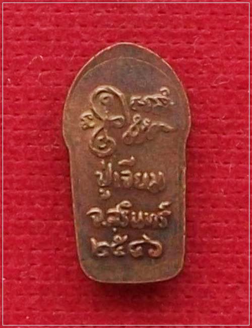 พระนาคปรกใบมะขาม หลวงปู่เจียม อติสโย รุ่นสร้างศาลาปี 46