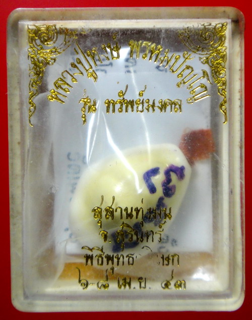 เบี้ยแก้ รุ่นแรก " รุ่นทรัพย์มงคล "หลวงปู่หงษ์ วัดเพชรบุรี