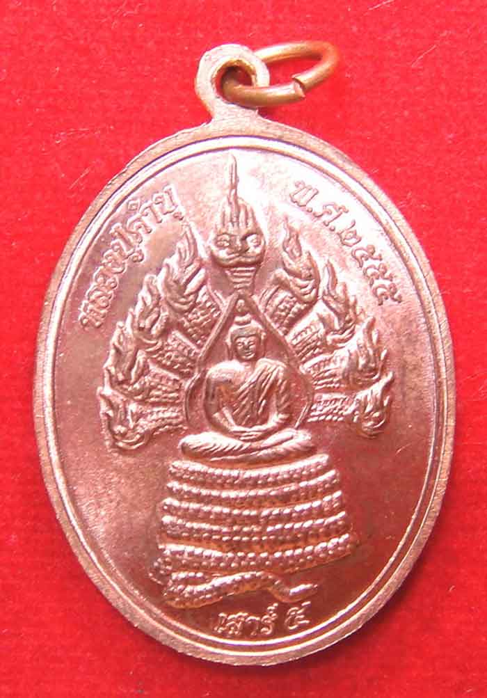 เหรียญเสาร์ 5 หลวงปู่คำบุหลังนาคปรก วัดกุดชมพู จ.อุบลราชธานี เนื้อทองแดงผิวไฟ ปี 2555