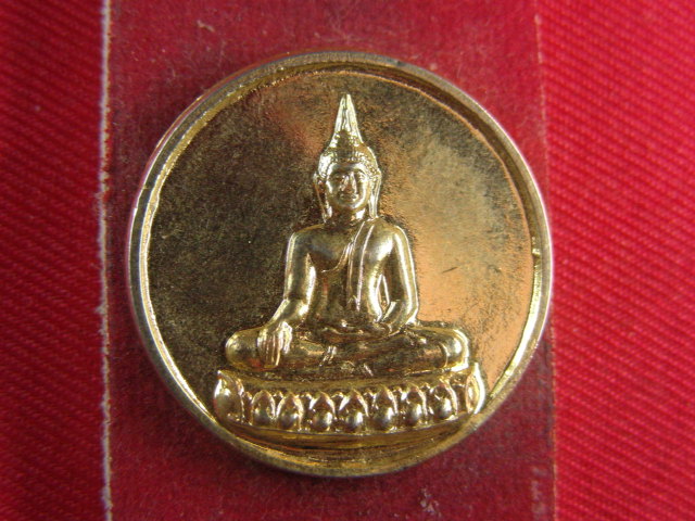 "จ่าสันต์" แดงเคาะเดียว/เหรียญหลวงพ่อปู่วัดบางปิ้ง  สมุทรสาคร