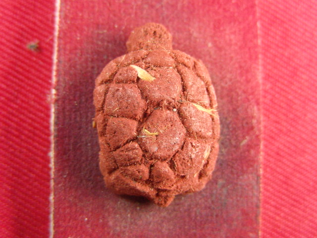 "จ่าสันต์" แดงเคาะเดียว/เต่าเรือนบันดาลทรัพย์โชคลาภ ระงับภัย หลวงปู่บุญ วัดโพธิ์ศรี ศรีสะเกษ