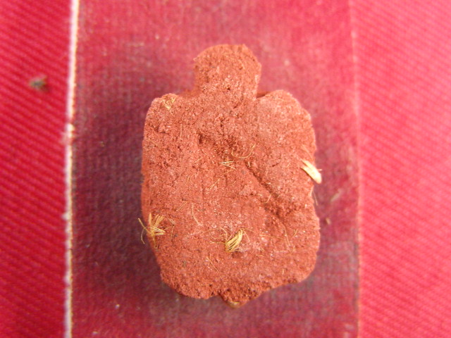 "จ่าสันต์" แดงเคาะเดียว/เต่าเรือนบันดาลทรัพย์โชคลาภ ระงับภัย หลวงปู่บุญ วัดโพธิ์ศรี ศรีสะเกษ