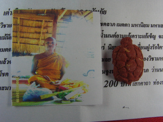 "จ่าสันต์" แดงเคาะเดียว/เต่าเรือนบันดาลทรัพย์โชคลาภ ระงับภัย หลวงปู่บุญ วัดโพธิ์ศรี ศรีสะเกษ