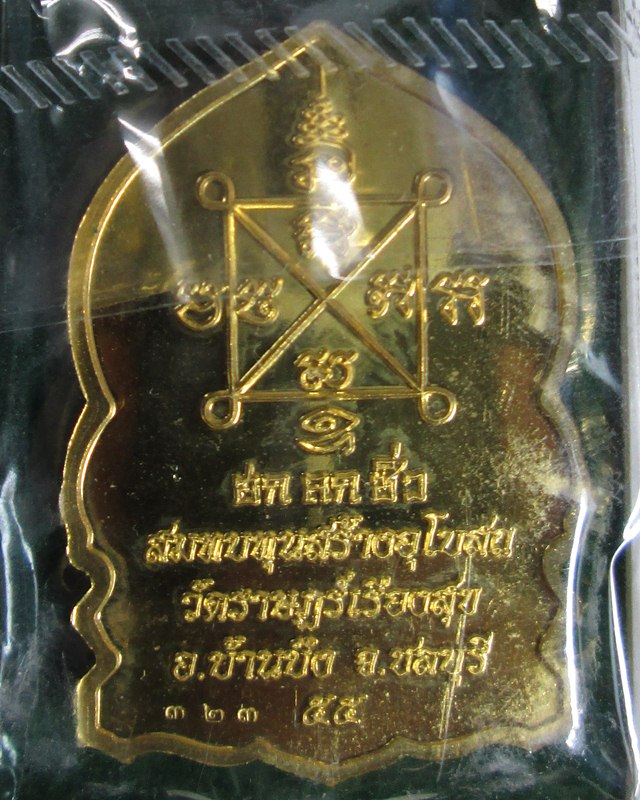 เหรียญ เสือคาบดาบ เนื้อทองฝาบาตรลงยา หลวงปู่ฮก หมายเลข๓๒๓ กำลังมาแรงจริง