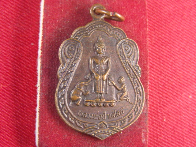 "จ่าสันต์" แดงเคาะเดียว/เหรียญหลวงพ่อป่าเลไลย์  วัดราษฎร์บำรุง(หงอนไก่)