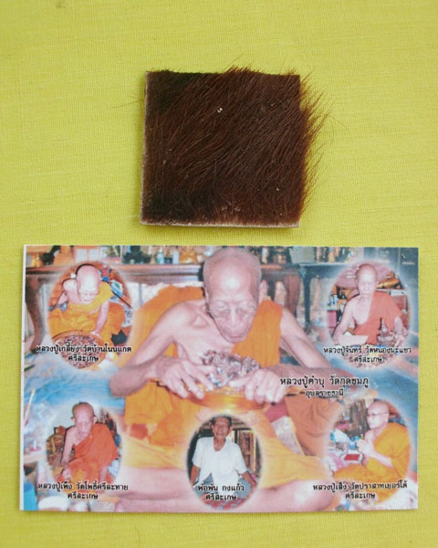 แผ่นหนังเสือพยัคราช ๕ มหาอำนาจ ล.ป.คำบุ "รุ่นเสาร์๕" ปี53 หมายเลข285