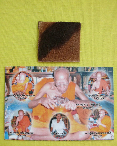 แผ่นหนังเสือพยัคราช ๕ มหาอำนาจ ล.ป.คำบุ "รุ่นเสาร์๕" ปี53 หมายเลข2