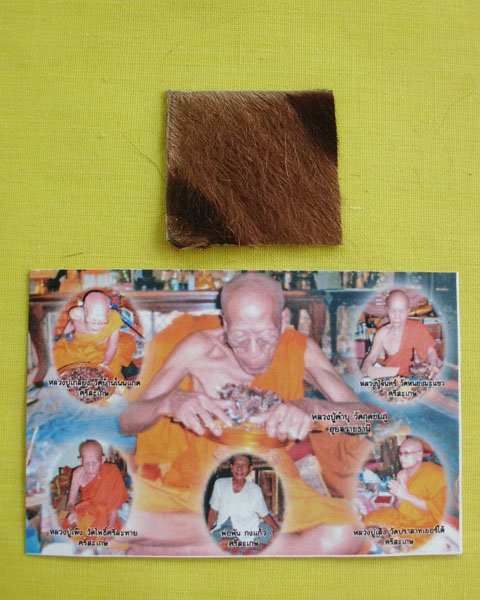 แผ่นหนังเสือพยัคราช ๕ มหาอำนาจ ล.ป.คำบุ "รุ่นเสาร์๕" ปี53 หมายเลข25