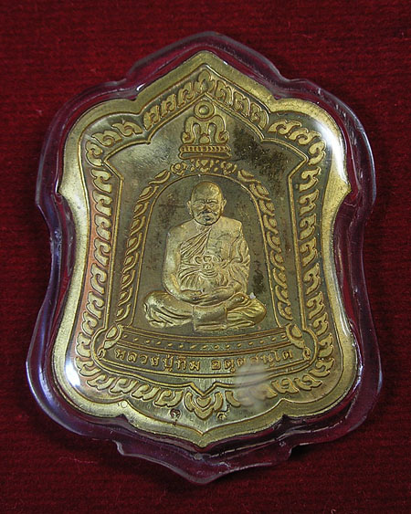 เหรียญ ๙ ยอด หลวงปู่ทิม วัดพระขาว เนื้อชุบทองไมครอน ตอกโค๊ต เลี่ยมกันน้ำ