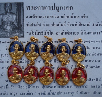 หลวงปู่ทวดวัดช้างให้ พิมพ์เม็ดแตงลงยาสีแดง+น้ำเงินเคลือบเรซิ่น ปี 55 รวม 10 องค์ พร้อมใบคาถา 5 ใบ #2