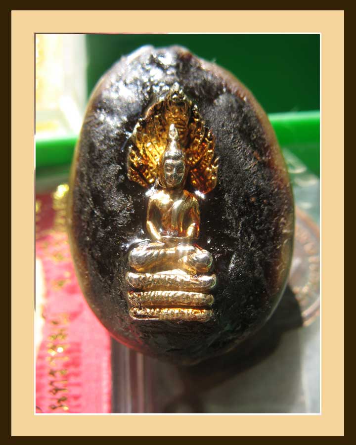 เบี้ยแก้รุ่นแรกหลวงปู่ท่านเจ้าคุณเสงี่ยม วัดสุวรรณเจดีย์  เคาะแรก ต่อไปจะเป็นตำนาน