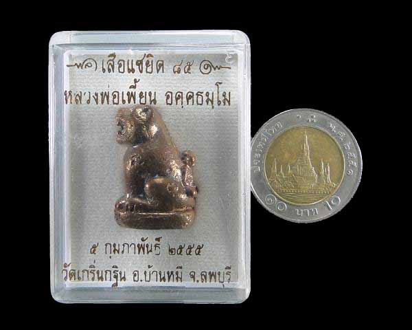 เสือแซยิด ๘๔ ปี หลวงพ่อเพี้ยน วัดเกริ่นกฐิน ลพบุรี