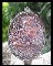 >> เคาะเดียว << เหรียญหลวงปู่ทวด ญสส. >> <<วัดใจ>>100 ปี สมเด็จญาณสังวรฯ ปี 56 < 2 องค์กระดานละองค์>