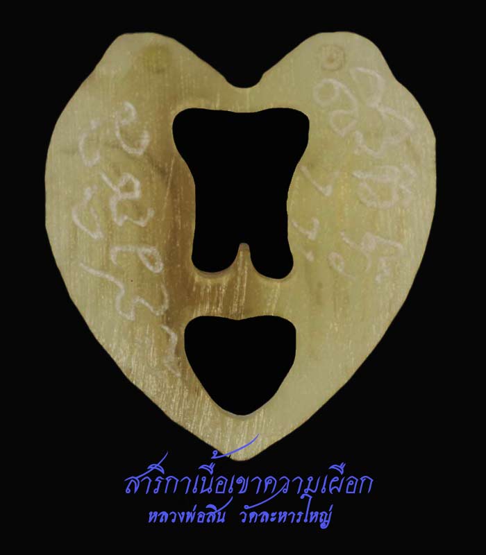 สาริกาเขาควายเผือก หลวงพ่อสินครับ  7