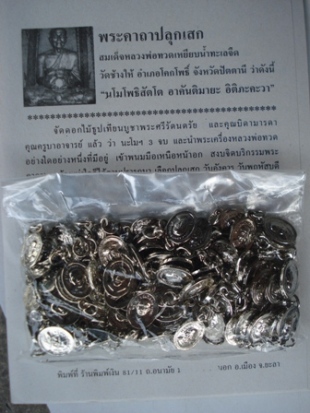 เม็ดแตงชุบนิกเกิ้ล วัดช้างให้ ปัตตานี ปี 55 (100 เหรียญ) พร้อมใบคาถา เคาะเดียว #141#