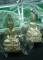 ((((( เคาะเดียว )))))) พระกริ่ง นฤมิตรโชค 