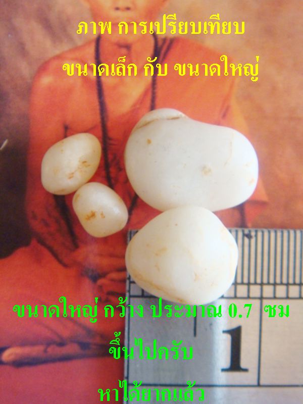 พระธาตุข้าว ++เม็ดใหญ่ ++พร้อมภาพ ใบฝอย ครูบาชัยวงศา ความเจริญทางโภคทรัพย์ โชคลาภ ค้าขาย