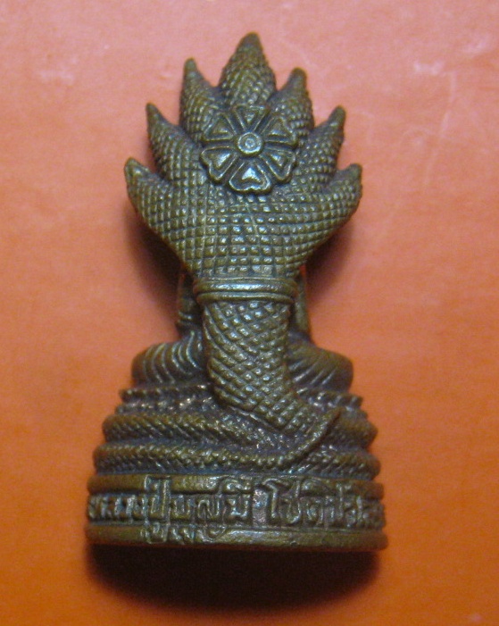 นาคปรก หลวงปู่บุญมี ชาติปาโล วัดบ้านนาเมือง อ.เมือง จ.อุบล