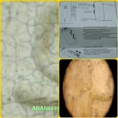 กล้องจุลทัศน์ microscope zoom 60x-100x Zoom Zoom .