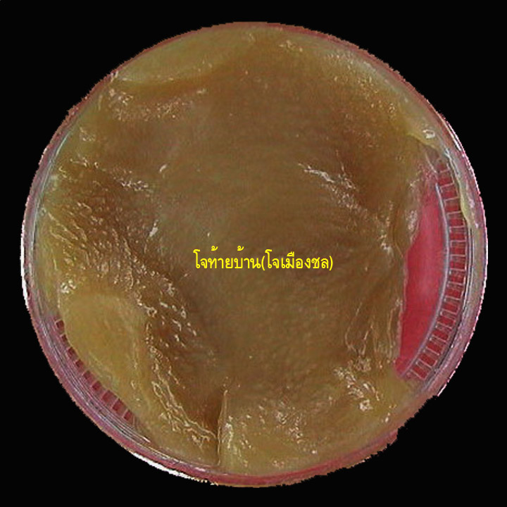 ขี้ผึ้งเจ็ดจันทร์ หลวงพ่อเริ่ม ปรโม วัดจุกกระเฌอชลบุรี