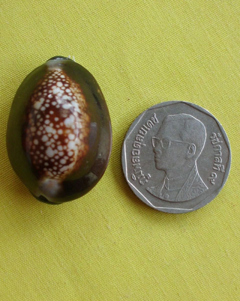 //คืนกำไรให้ลูกค้า//เบี้ยกัน บรรจุทรายเสก+แร่เขาพนมกุเลนฯ หลวงปู่สิงห์ วัดบ้านขี้เหล็ก จ.ศรีสะเกษ*7