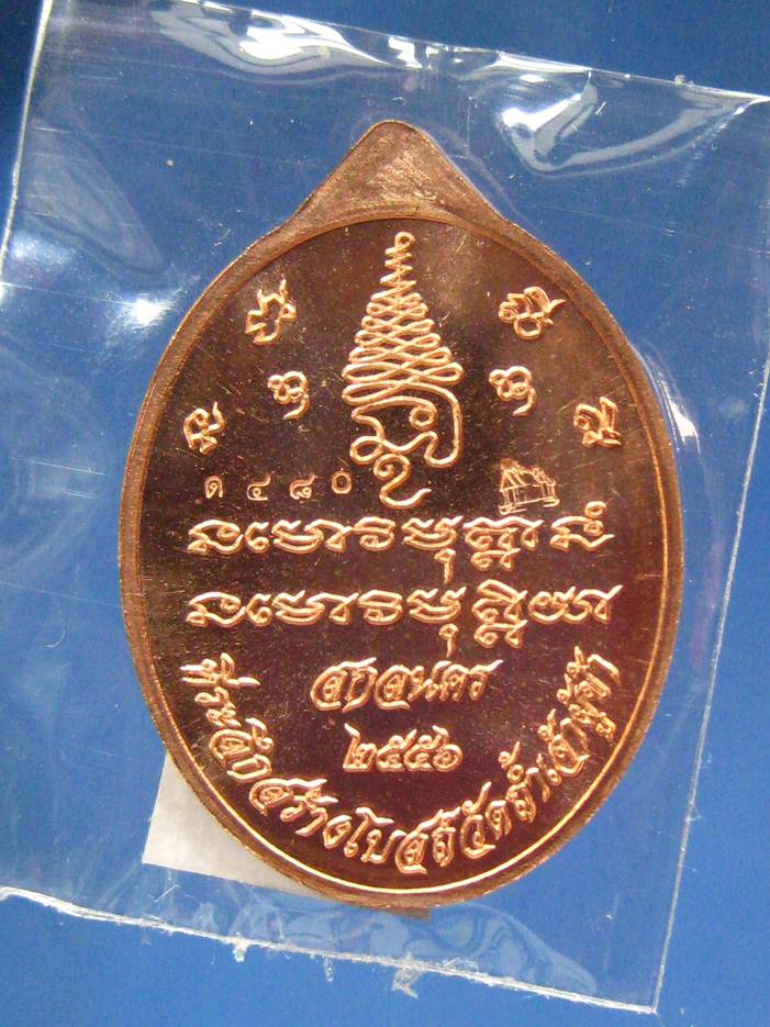 เหรียญเศรษฐีหลวงปู่แก้ว สุจินโณ ทองแดงหน้ากากทองระฆัง(480)