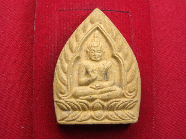 "จ่าสันต์" แดงเคาะเดียว/เจ้าสัว หลังหลวงปู่ญาณรังษีฯ  วัดเกาะจันทาราม