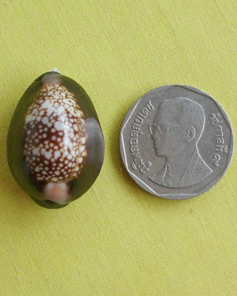 //คืนกำไรให้ลูกค้า//เบี้ยกัน บรรจุทรายเสก+แร่เขาพนมกุเลนฯ หลวงปู่สิงห์ วัดบ้านขี้เหล็ก จ.ศรีสะเกษ*18