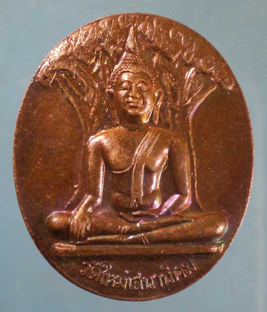 เหรียญปี46 หลวงปู่หลอด