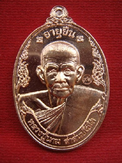 2. เหรียญอายุยืน เนื้อทองแดง หลวงป่นาม วัดน้อยชมภู่