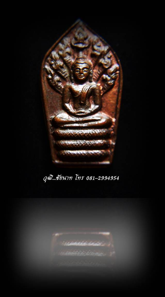 เหรียญนาคปรกใบมะขาม หลวงพ่อพรหม วัดขนอนเหนือ รุ่น ๑