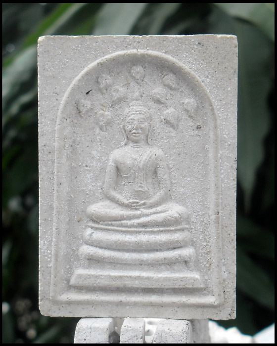>> เปิดเหมือนแพง...แต่แดงเคาะเดียว << สมเด็จจัมโบ้ปรกโพธิ์เก้าใบ หลังพระแม่ธรณี หลวงปู่หมุนปลุกเสก