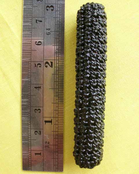 //คืนกำไรให้ลูกค้า//ตะกรุดพระเจ้าห้าพระองค์ หลวงพ่อกาหลง จนฺทวังโส วัดศรีประดู่ จ.อุบลฯ *29*