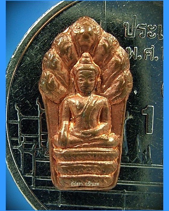 พระนาคปรกใบมะขามรุ่นแรก ครูบาสร้อย วัดมงคลคีรีเขตร์ จ.ตาก