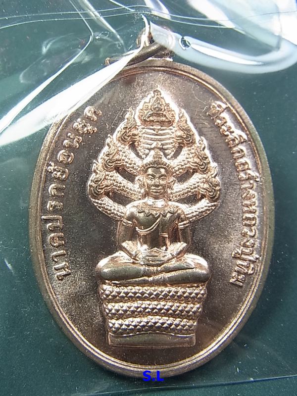 เหรียญนาคปรกย้อนยุค หลวงปู่ทิม วัดละหารไร่ เนื้อนวะ (2)