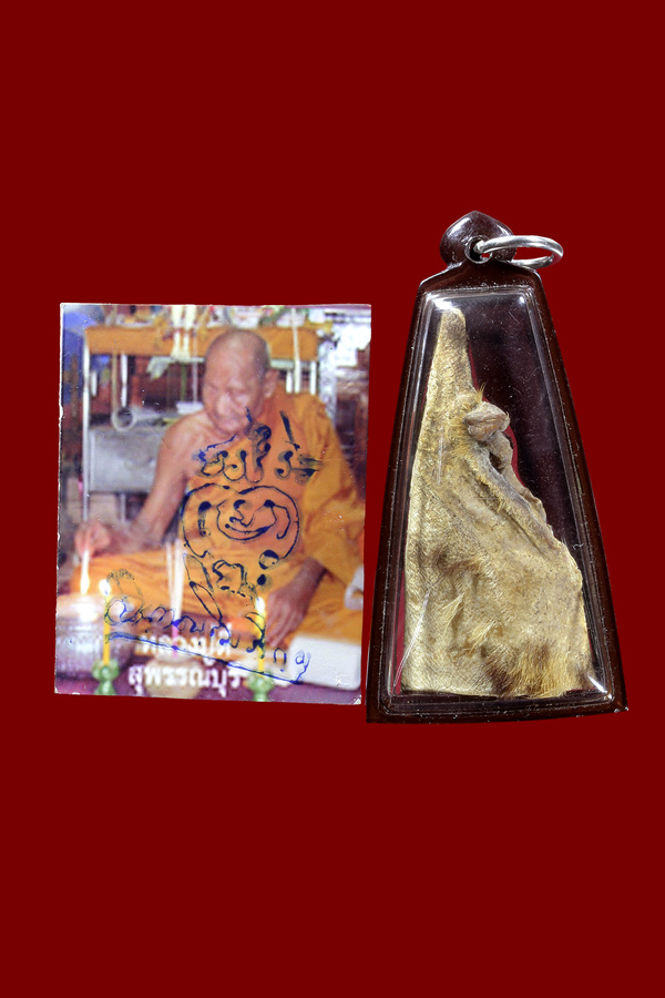 หน้าผากเสือมหาอำนาจ หลวงปู่ตี๋ วัดท่ามะกรูด สุพรรณบุรี
