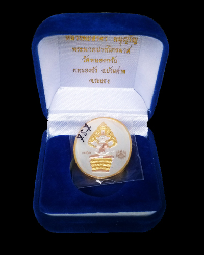 เหรียญพระปรกไตรมาส 51 เนื้อสามกษัตริย์ หลวงพ่อสาคร วัดหนองกรับ 
