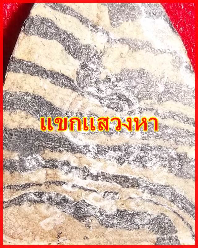 พระปิดตา ลายเสือ หลังยันต์พุฒซ้อน หลวงพ่อแพ วัดพิกุลทอง ปี 2513