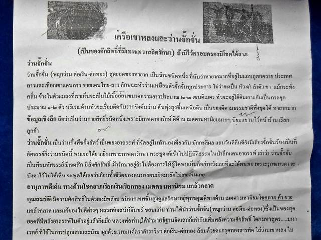 พญาว่านกายสิทธิ์ ว่าจั๊กจั่น ต่อเงิน-ต่อทอง 