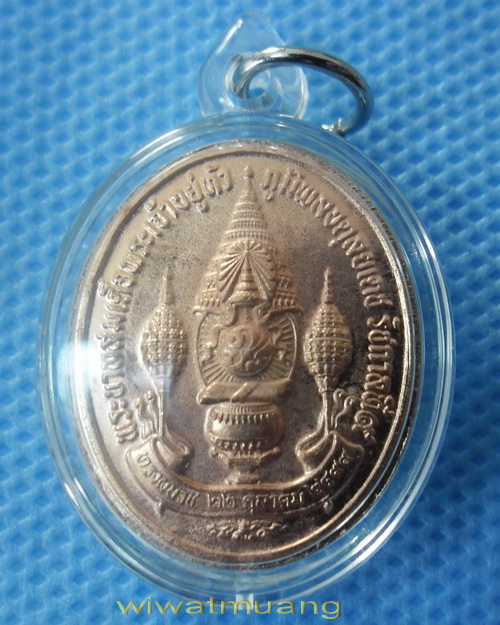 เหรียญทรงผนวชพลังแผ่นดินพระบาทสมเด็จพระเจ้าอยู่หัว ร.9