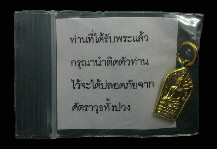 เหรียญนาคปรก  ไพรีพินาศ หลวงปู่มีชัย  กามฉินโท