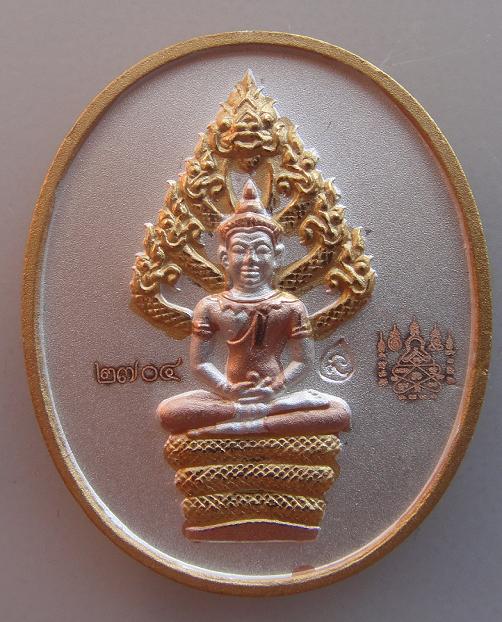 เหรียญนาคปรก ไตรมาส 51 หลวงพ่อสาคร เนื้อสามกษัตริย์ พร้อมบัตรรับรอง