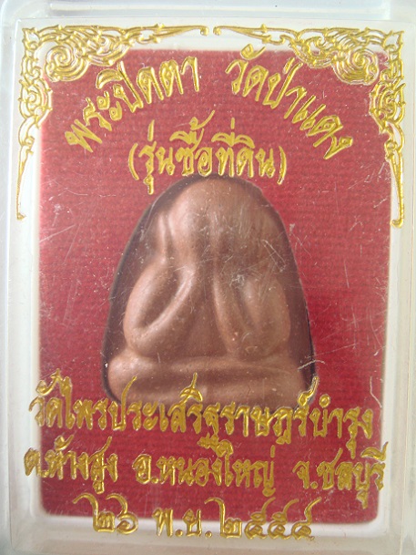 พระปิดตาวัดป่าแดง ฝังตะกรุดหลวงปู่แผ้ว เนื้อแดง สวย (เคาะเดียว) 380 บาท