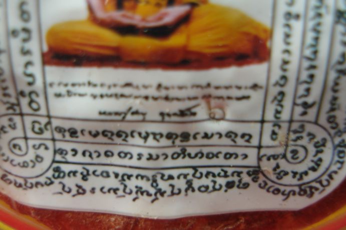 รกแมว หลวงปู่คำบุ วัดกุดชมภู 