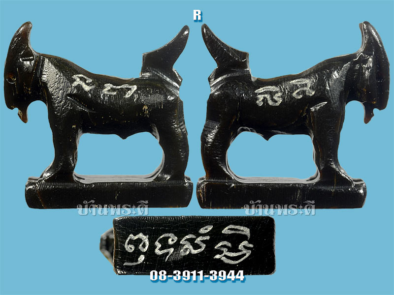 แพะหลวงพ่อสิน วัดละหารใหญ่ จ.ระยอง (R)