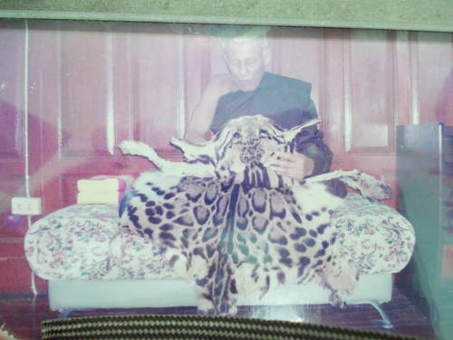 ตะกรุดหนังเสือหลวงพ่อทวีศักดิ์(เสือดำ)ออกวัดศรีนวล