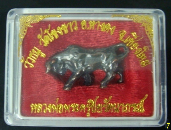 วัวธนูวัดโขงขาว ปี 2518 หลวงปู่คำแสน หลวงพ่อฤาษีลิงดำ และอีกหลายคณาจารย์อธิษฐานจิต++++เคาะเดียว
